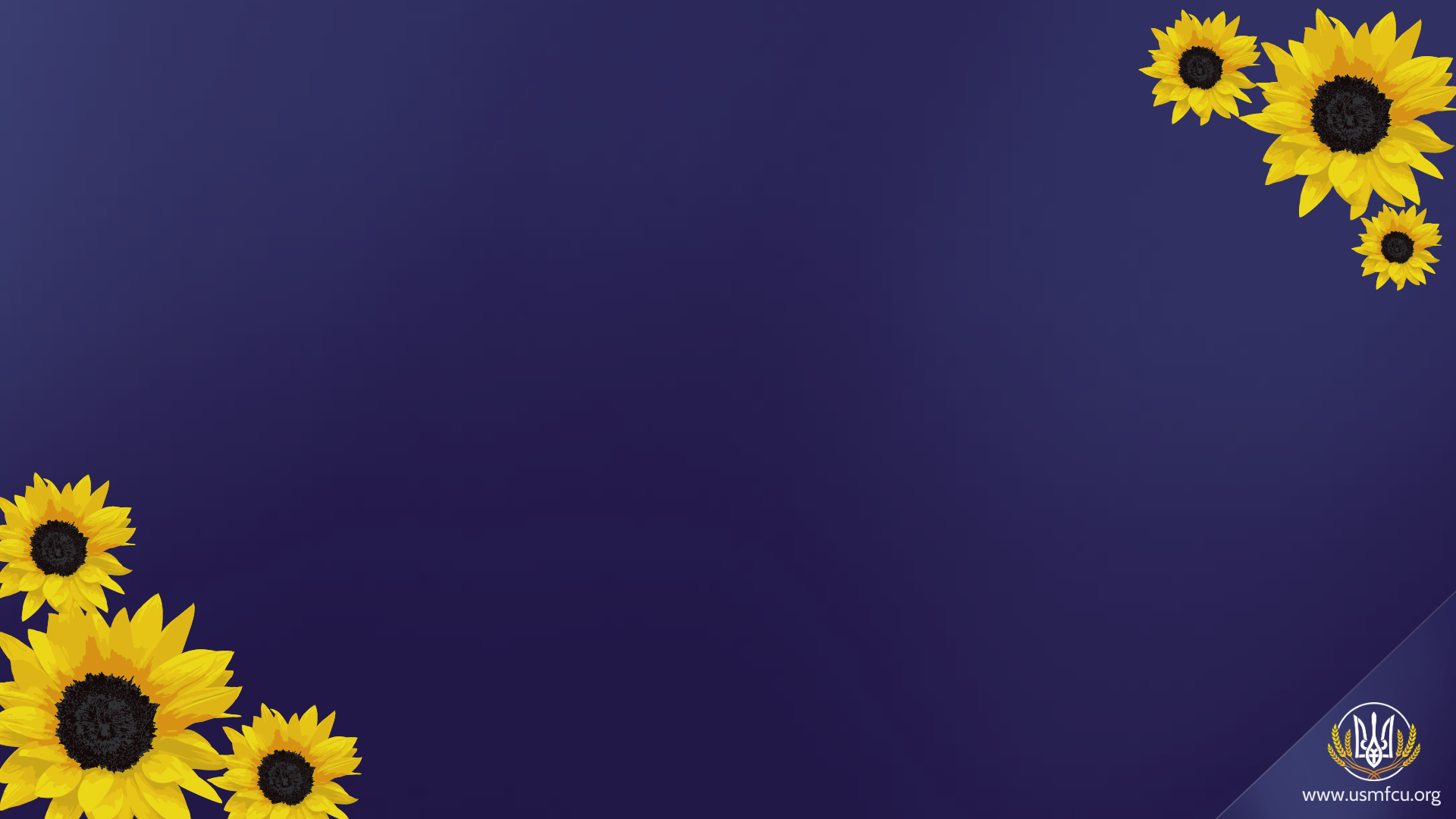 realistic zoom virtual background winter